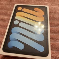 iPad Mini 6th Gen (WiFi)