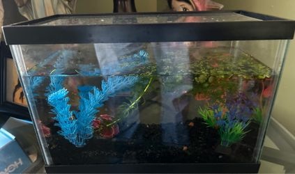 Fish tank
