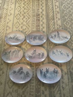 Wolf Pup Collector Plates Set of 8