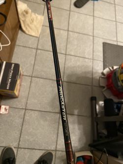Fishing Rod