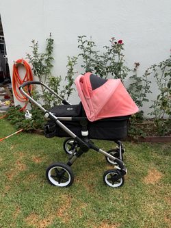 Bugaboo Fox 3 Bassinet + Stroller (Rain cover, Cup holder, Diaper bag)