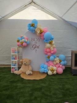 Gender reveal