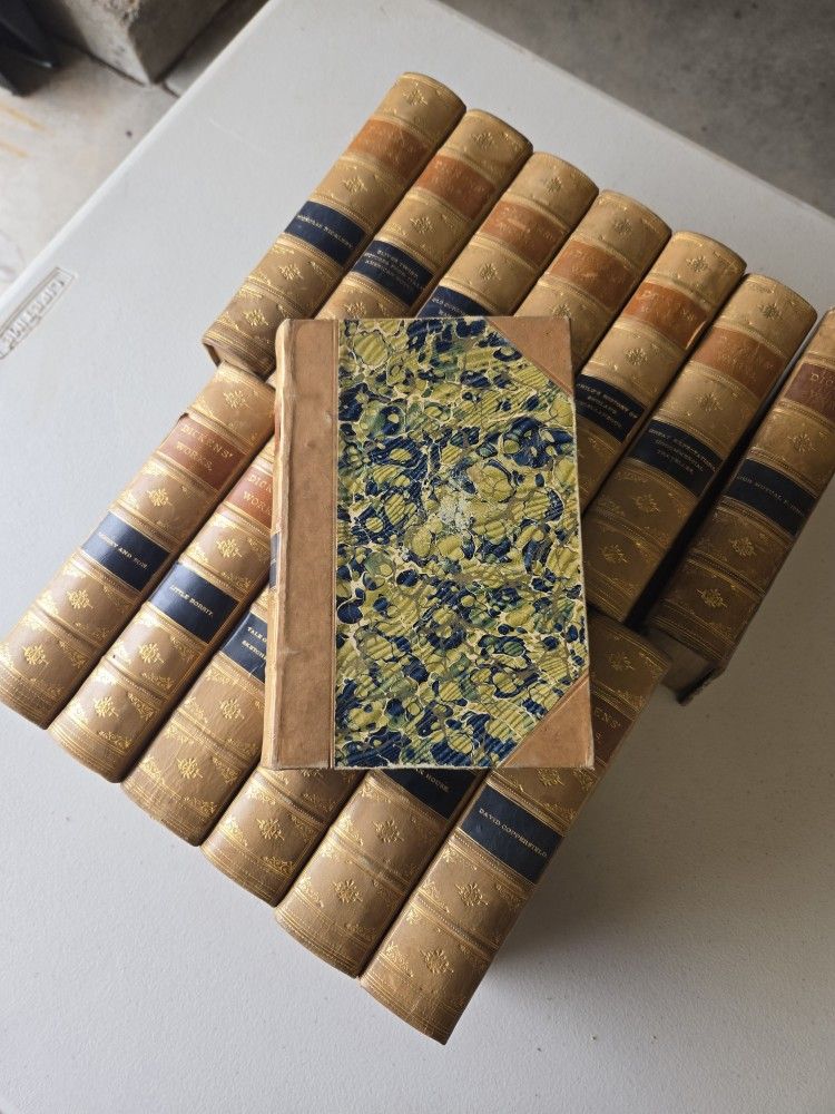 Charles Dickens’ Complete Works – 14 Volumes of 15 – Deluxe Marbled & Leather Binding – Illustrated by Fred Barnard – Frank F. Lovell & Co. (c.1880s)