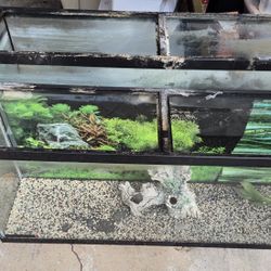 Fish Tank Bundle
