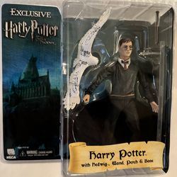 Harry Potter With Hedwig NECA Exclusive 