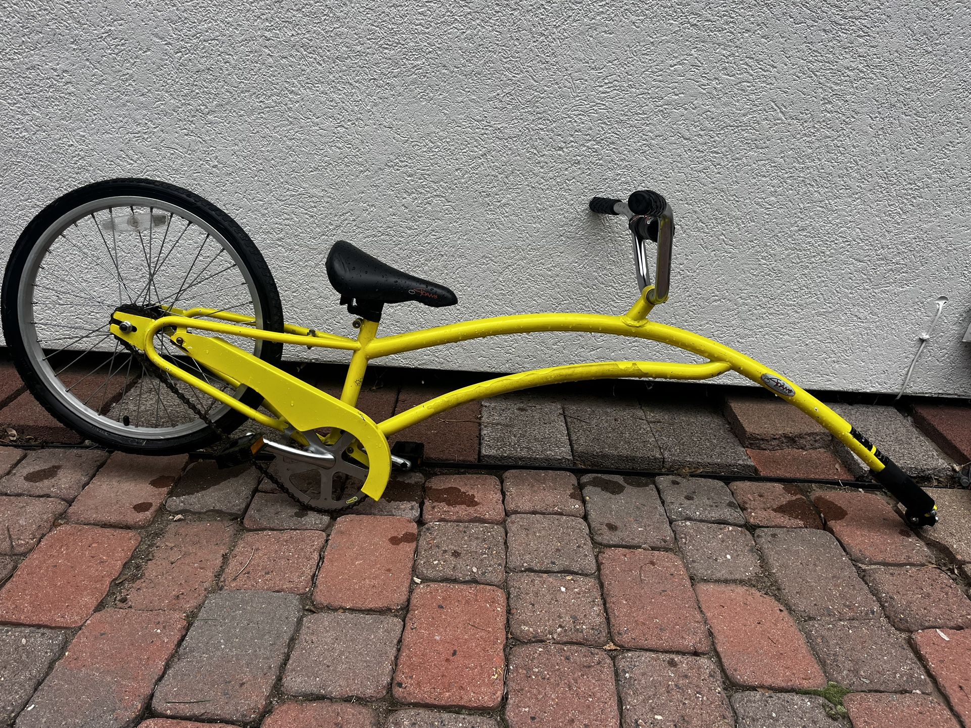 Tag-a- Long Co-pilot bike