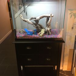 Aqueon 20 Gal Aquarium set