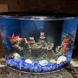5 Gallon Bowfront Aquarium complete - REDUCED!