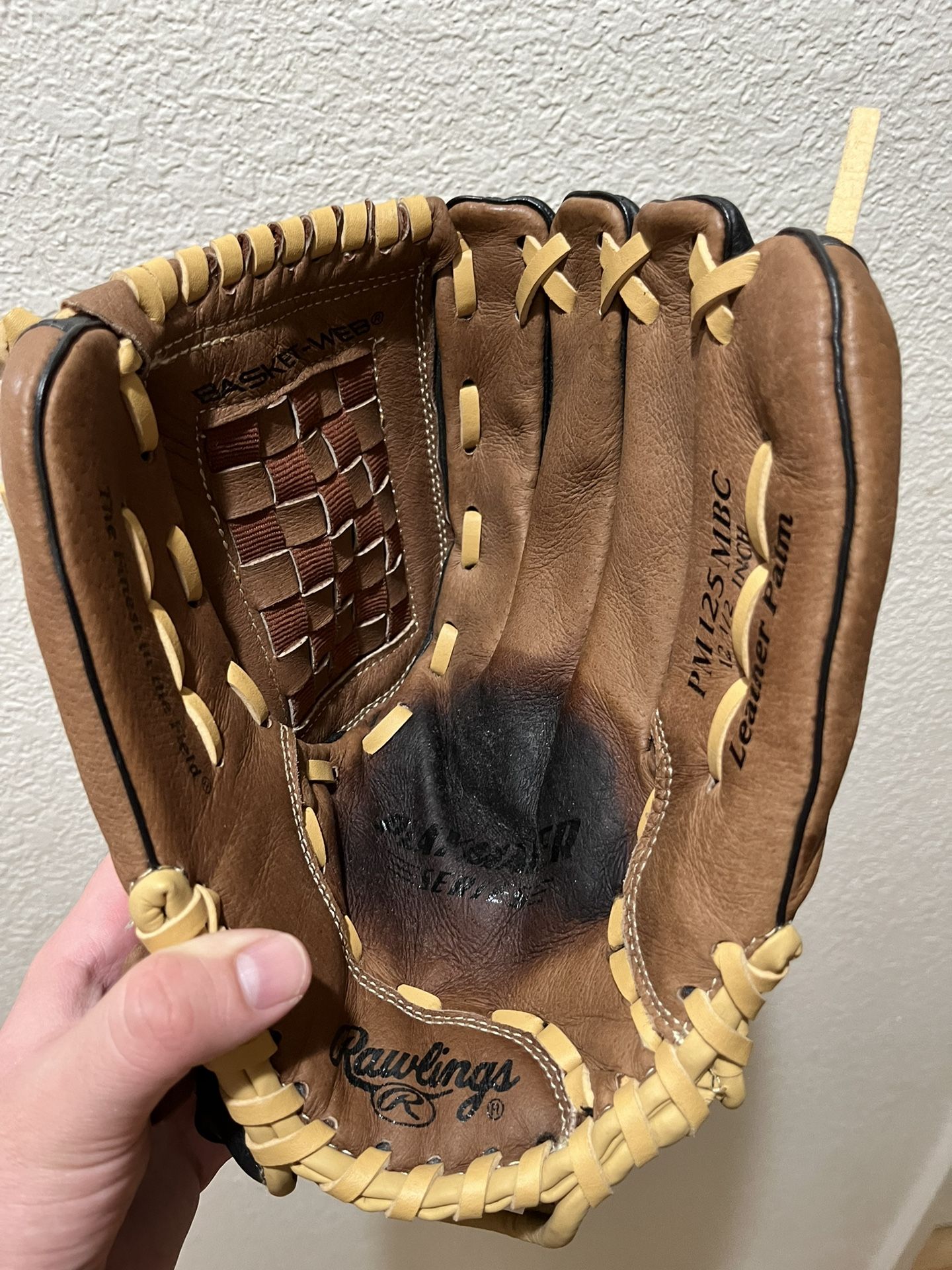 Baseball Glove