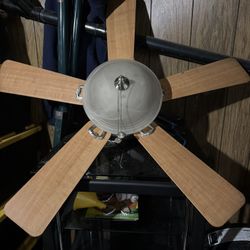 Fan
