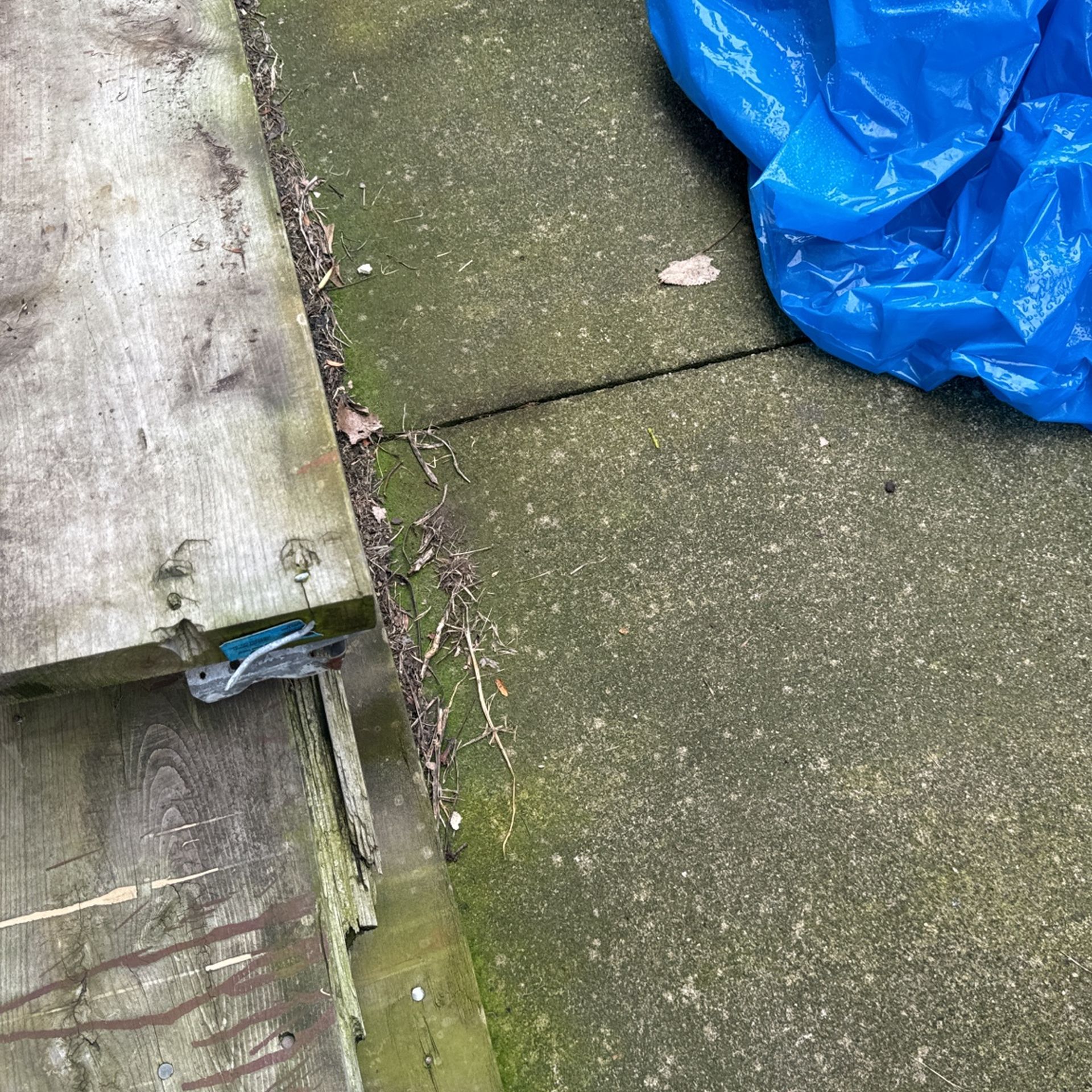 Wood 22pcs 120for 9 Inches,1 1/2.tick Collectibles