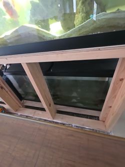 40 gallon fish tank