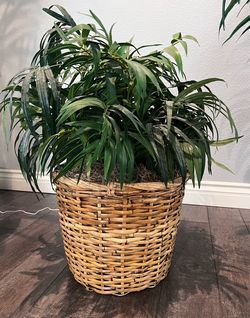 Artificial plant with basket