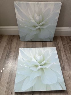2-Canvas Floral decor frames!