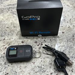 GoPro Wi-Fi Remote