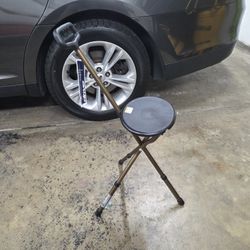Brand New Cane With Fold Down Seat