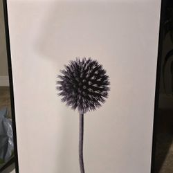 Globe Thistle (Echinops) Wall Art