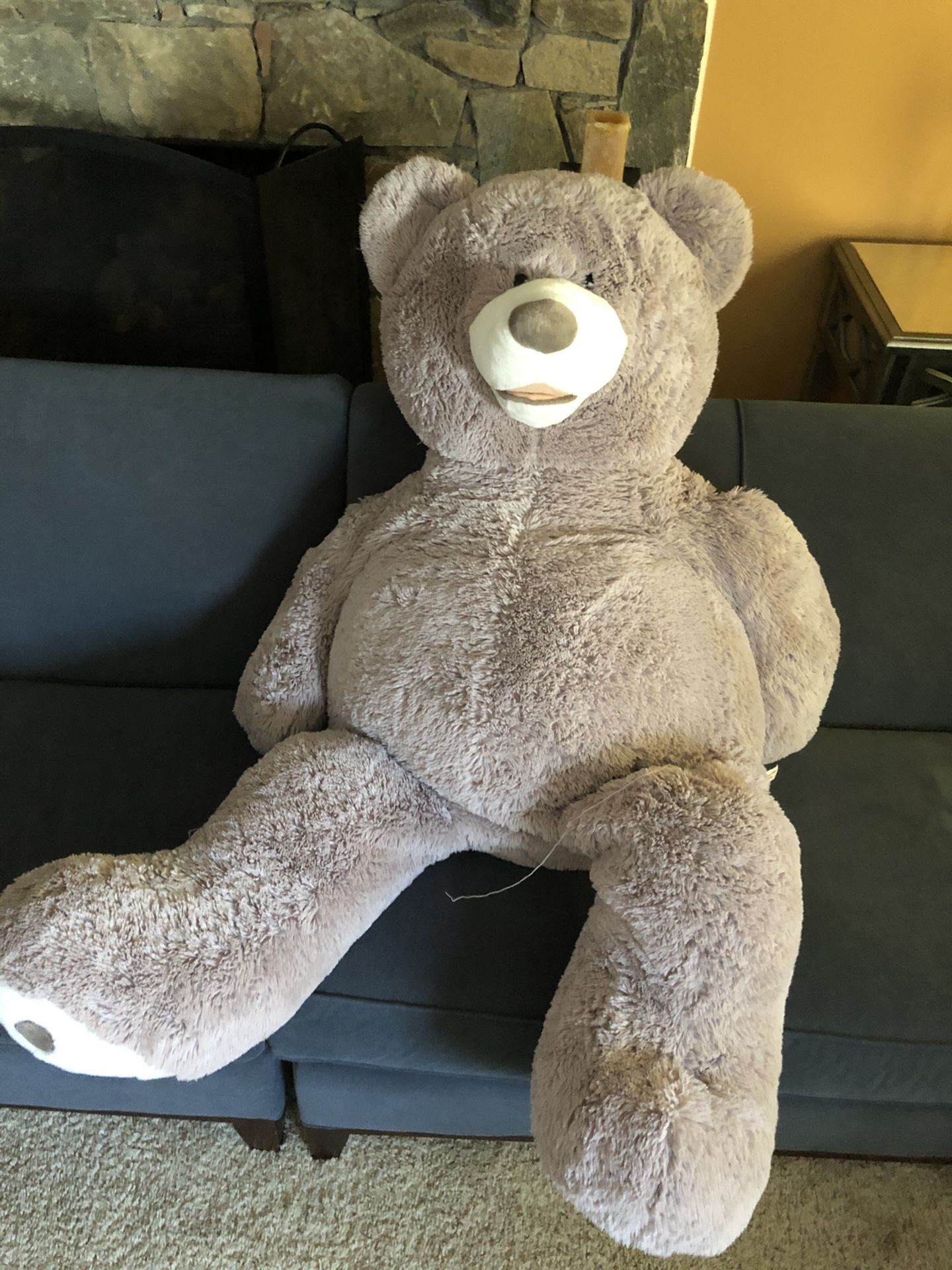 Must Go $3.00 Oversized stuffed teddy bear