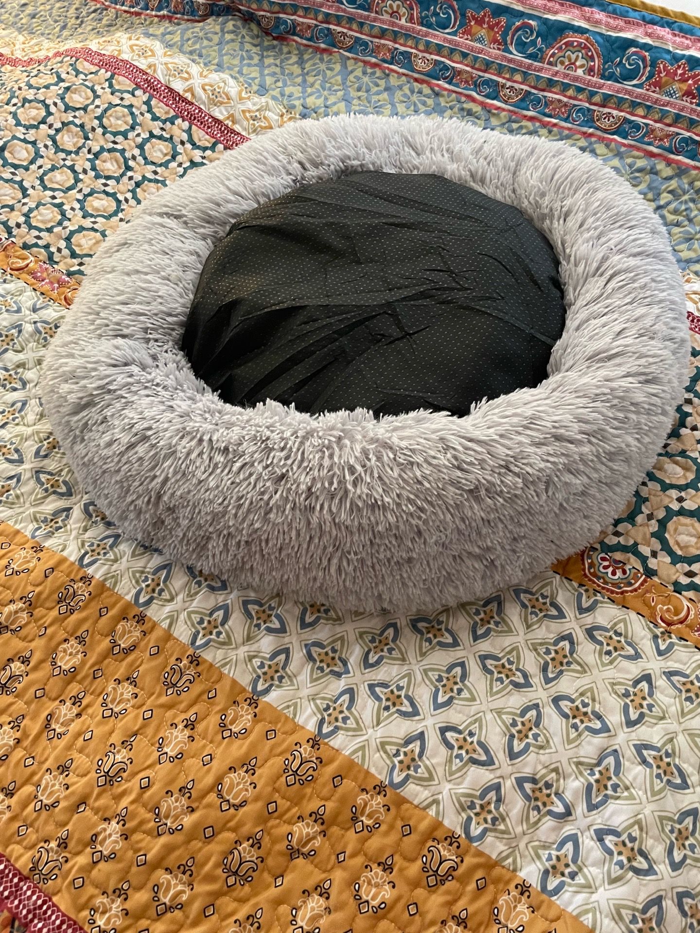 Cat/Dog Medium Bed! Never been used!