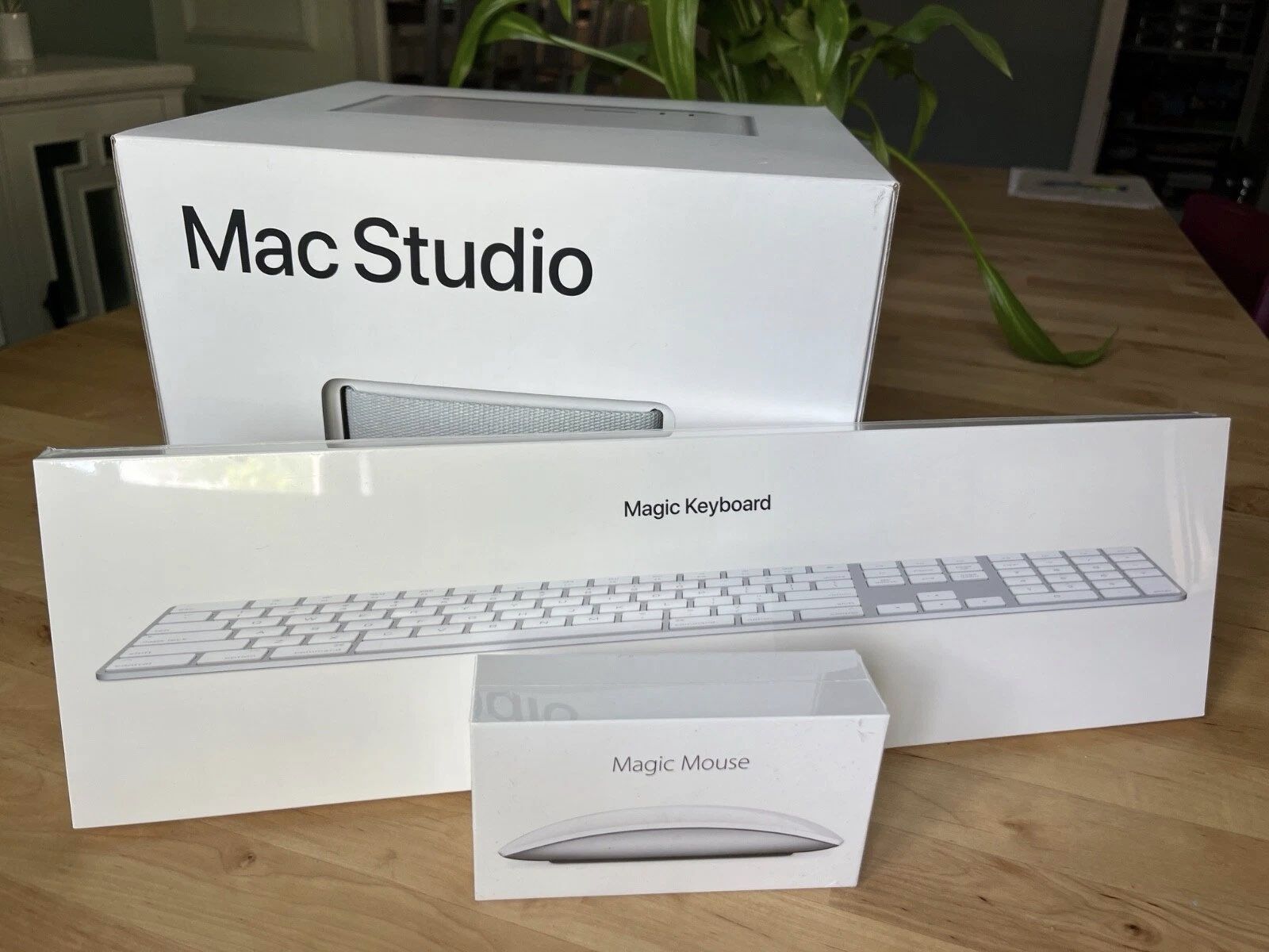 New Apple Mac Studio M4 Max 36GB RAM 32-Core GPU Magic KBD num. pad+ Mouse