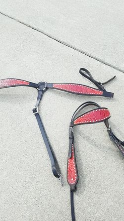headstall and breast collar