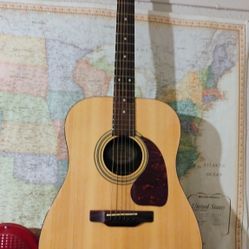 GUITAR Gibson Epiphone PR-150/NA