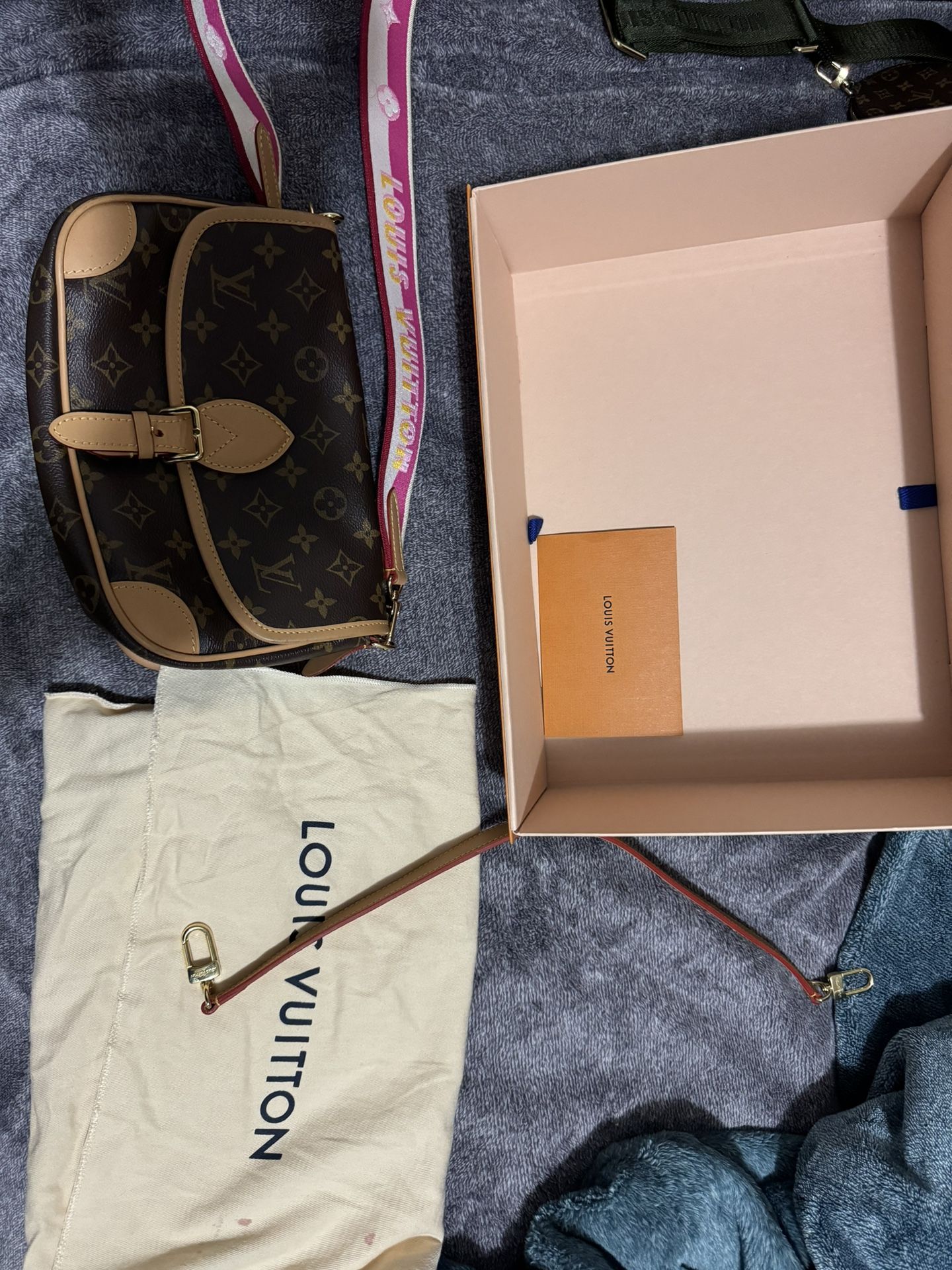 Diane Louis Vuitton Bag 