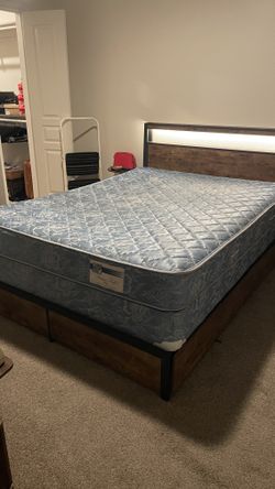 Bed & Box Spring