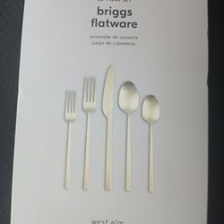 West Elm 20-Piece Briggs Flatware Set 