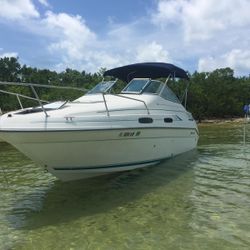 Sea Ray Sundance 230