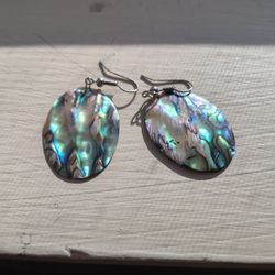 Abalone Shell Earrings 