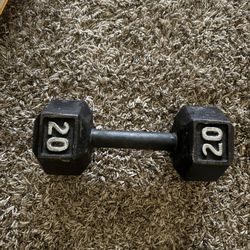 20 Pound Weight