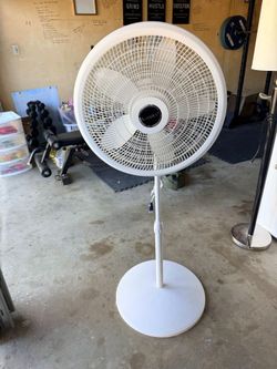 Fan $10
