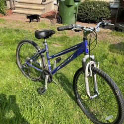 Schwinn Womens Sidewinder Bicycle, All Cealed Bearings Extra Cushiony Seat, Good Tires Very Good Condition!