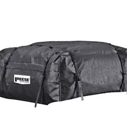 Reese Rooftop Cargo Bag