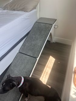 Dog Ramp