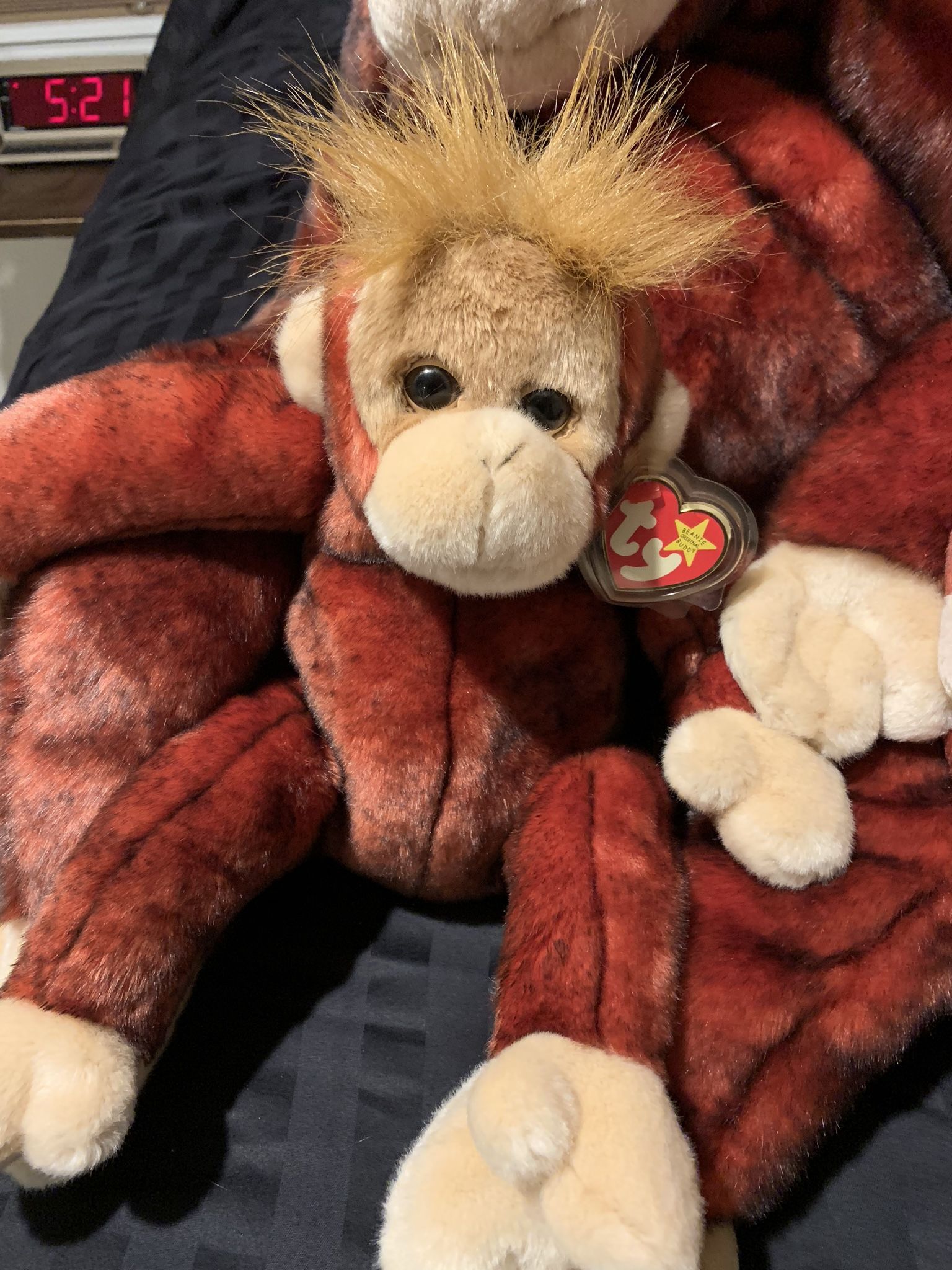Orangutan monkey TY Beanie Collection