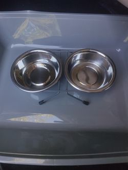 Double Cat Double Dinner And Litter Pan