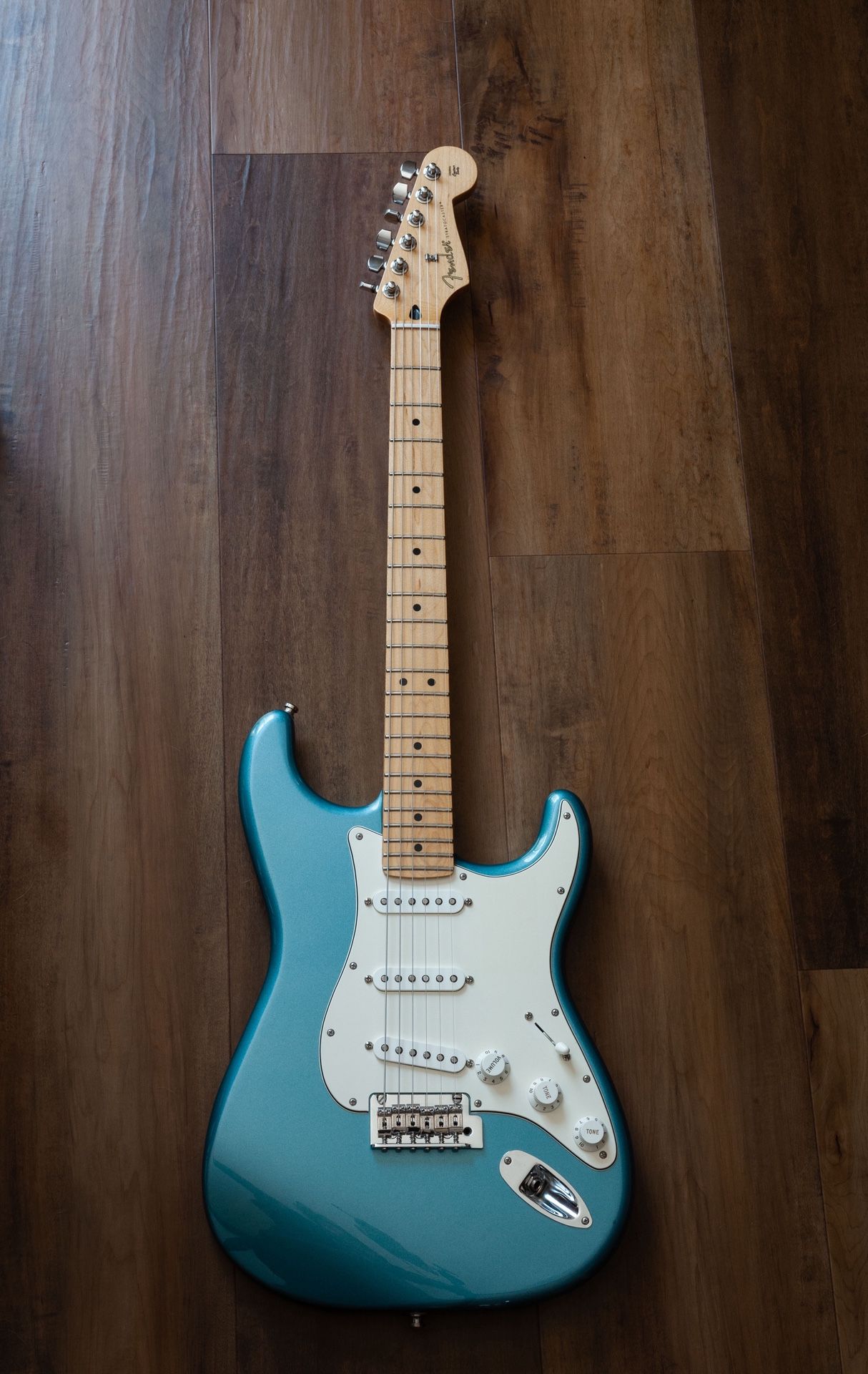 Fender Stratocaster Tidepool 2020 Player Series Guitar