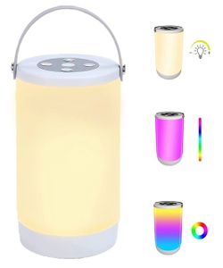 LED Table Lamp Portable Bedside Lamps Dimmable RGB Warm White Night Lights Color