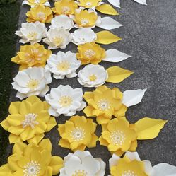 Paper Flowers 