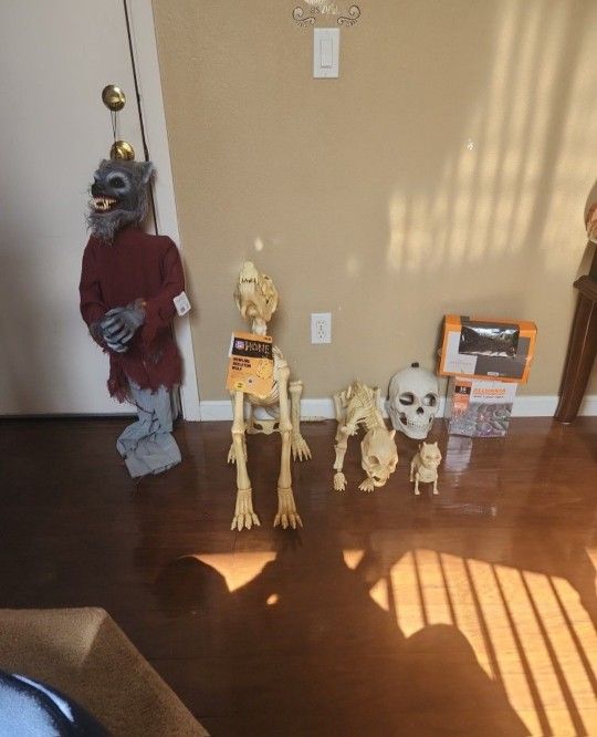 Halloween Decor