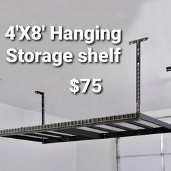 Overhead Garage Storage 4' X 8'