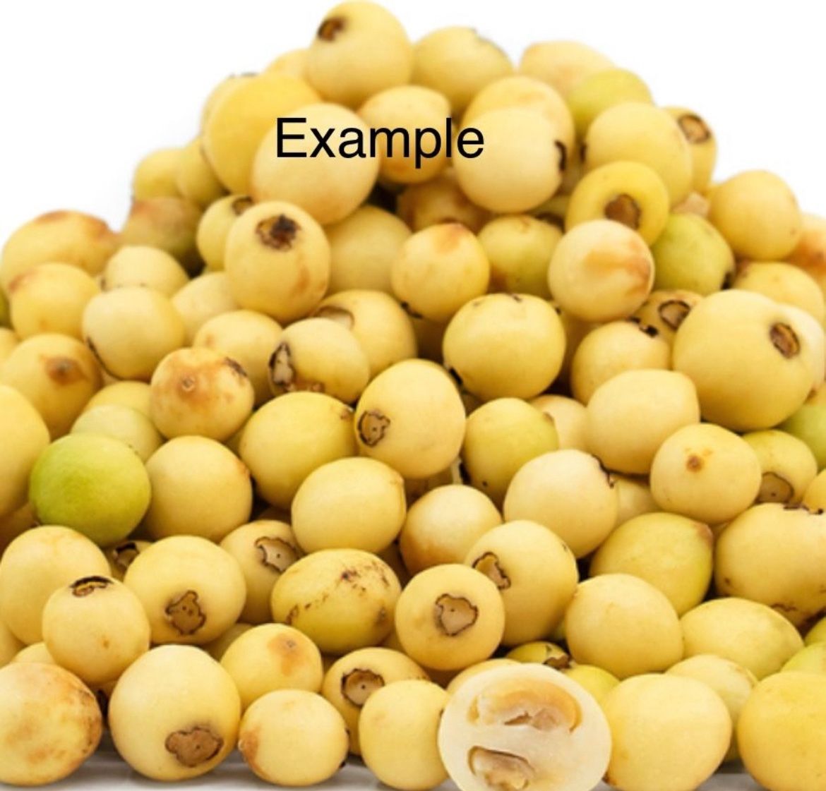 Arrayan Ingles Arrayan Fruit Tree / Arbol de Arrayan for Sale in Riverside, CA - OfferUp