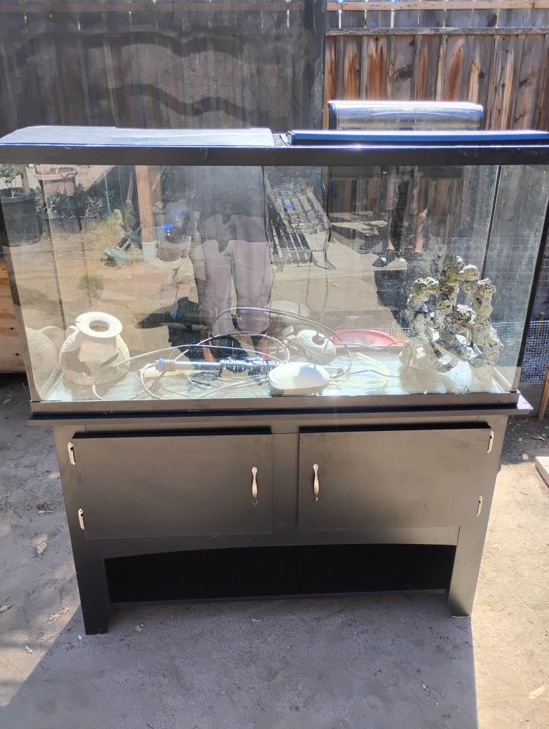 70 Gal Fish Tank Set Up