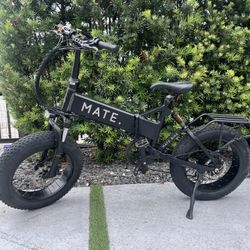 Mate Folding electric bicycle 750w