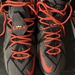 Lebron 12 court vision