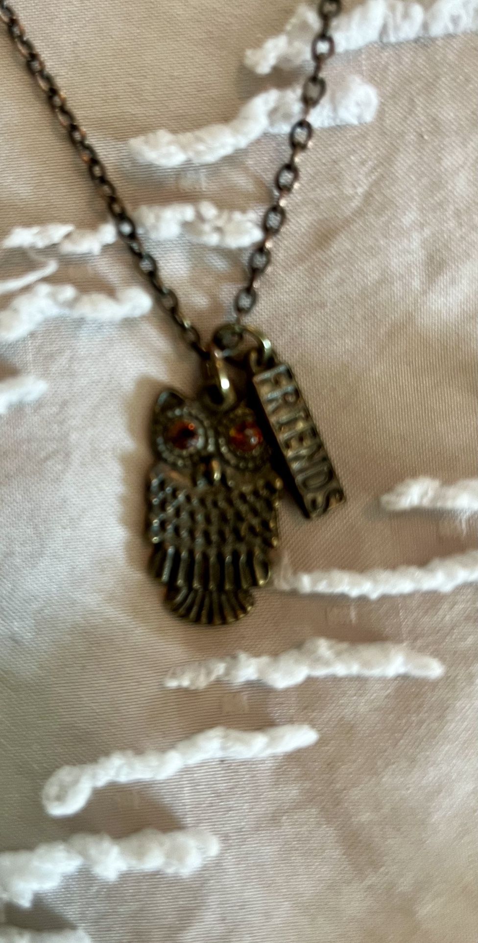 Owl Charm Necklace with “Friends” Tag