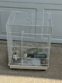 Birdcage