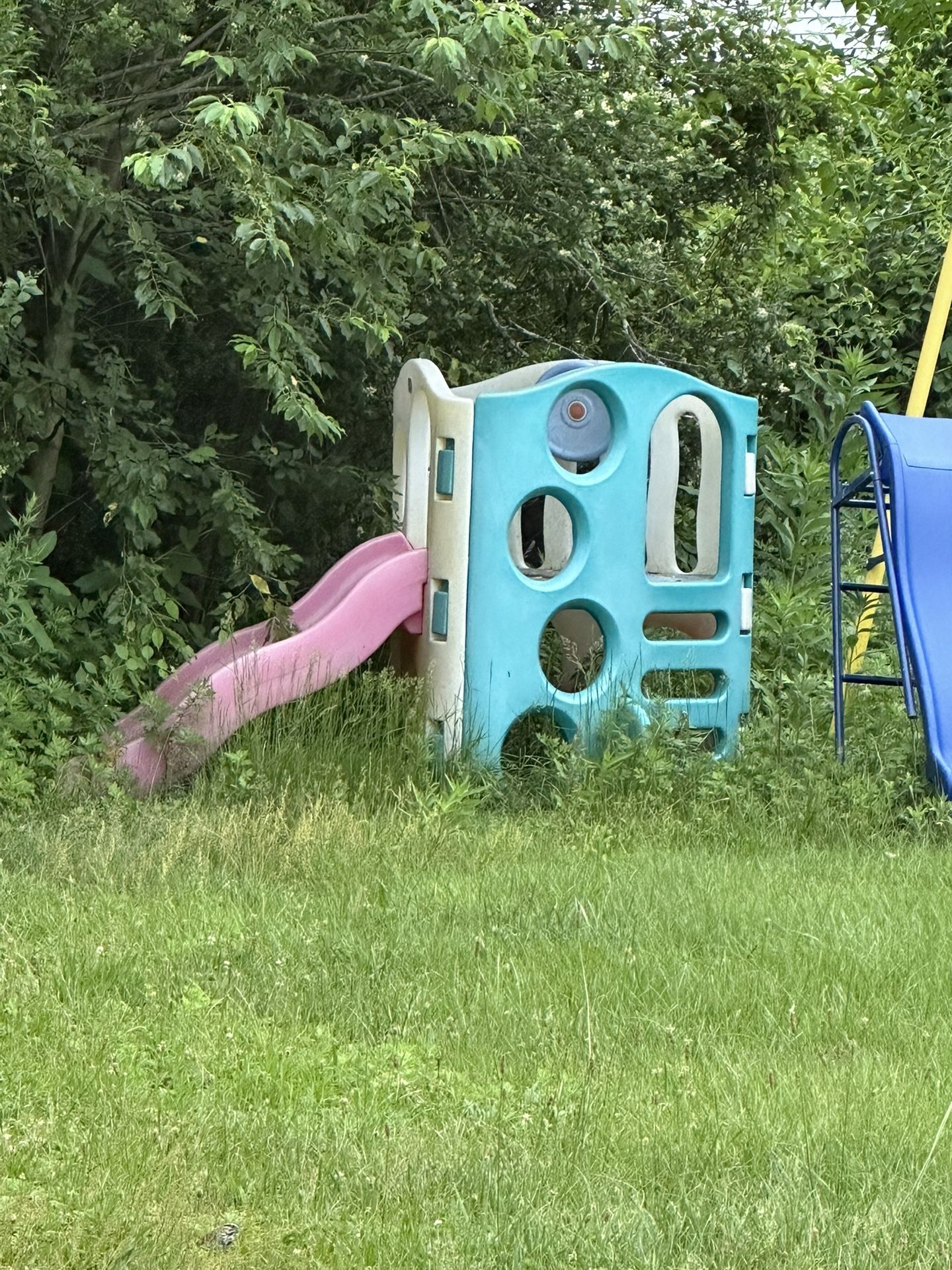 Jungle Gym Toddler 
